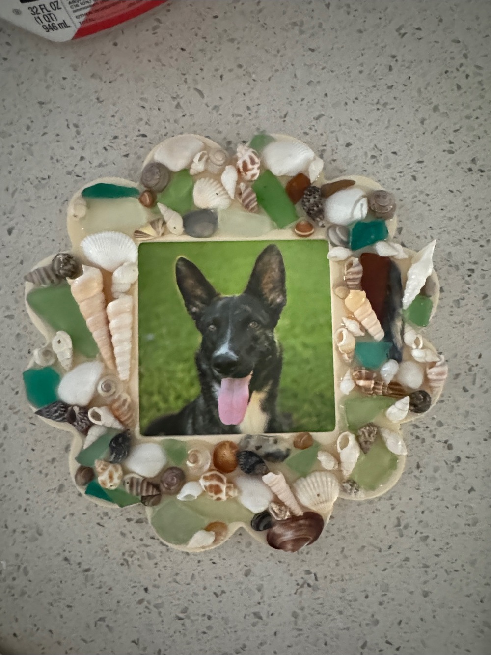 Handcrafted Shell & Sea Glass Frame